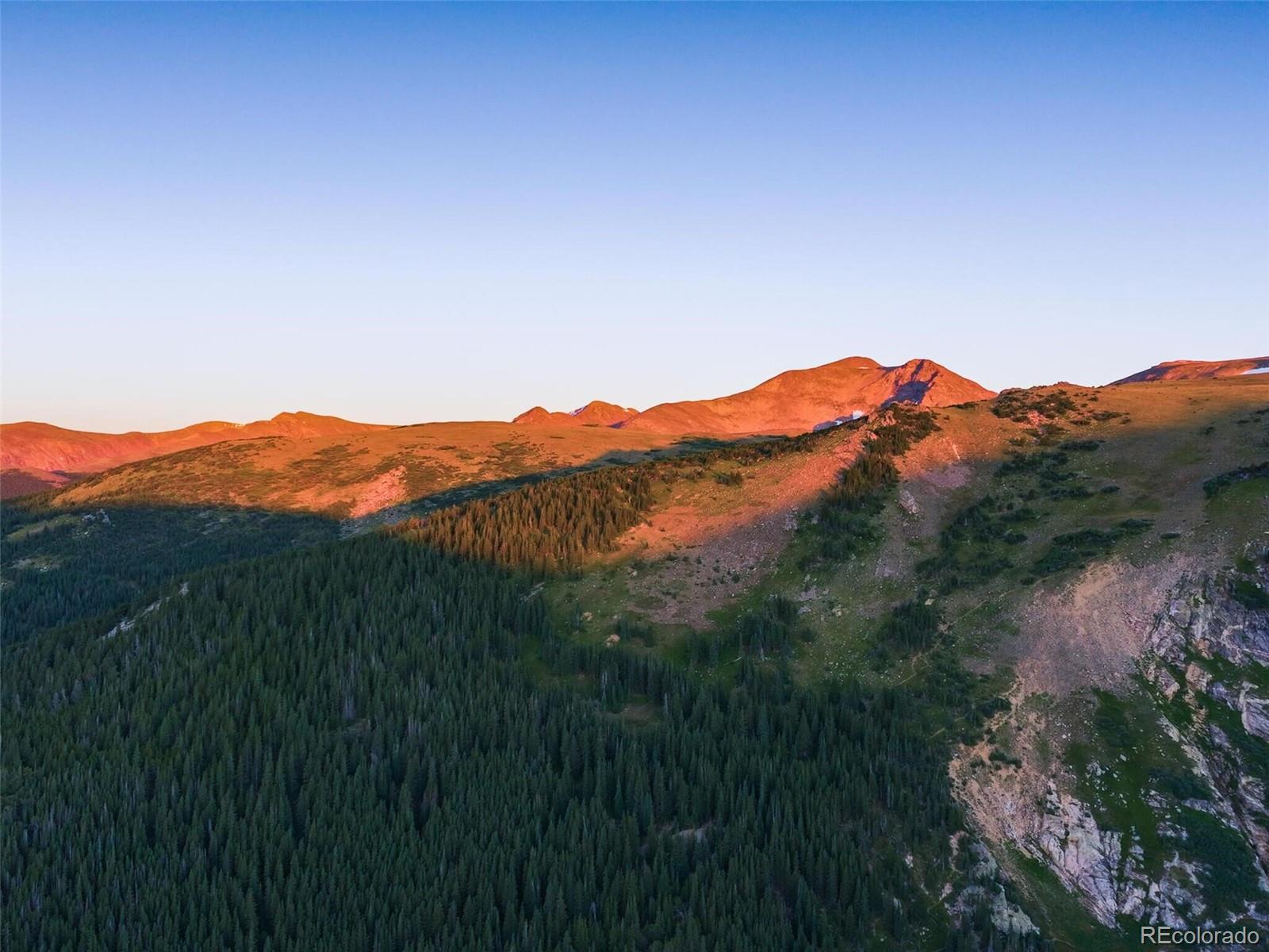 8821 Fall River Road Idaho Springs, CO 80452 - Photo 6 of 21