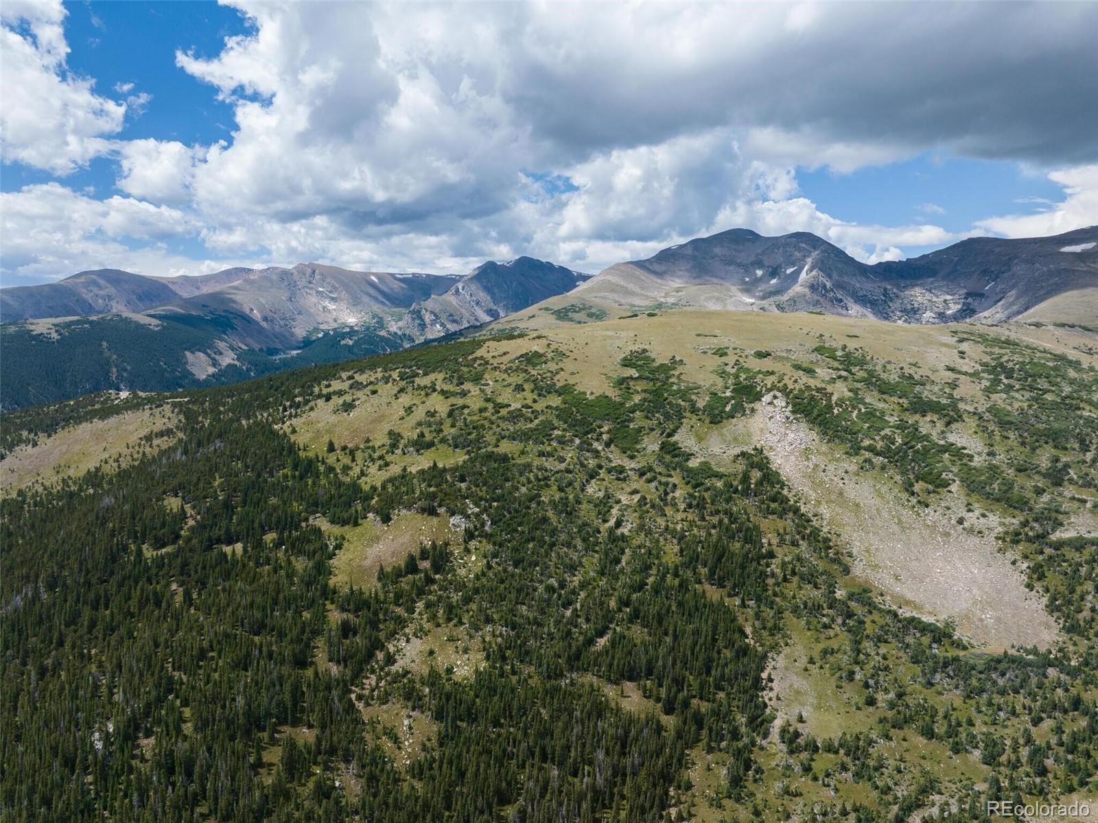 8821 Fall River Road Idaho Springs, CO 80452 - Photo 10 of 21