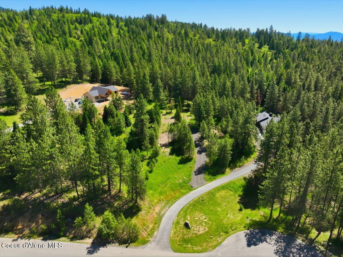 Nka North Saddle Ridge Road Rathdrum, ID 83858 - Photo 6 of 12 06-NKA N Saddle Ridge Rd_RedHogMedia