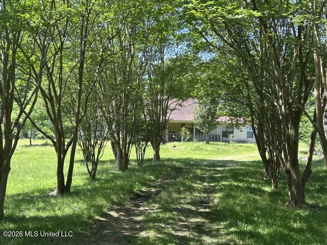 6180 Hamp Lea Road Liberty, MS 39645 - Photo 1 of 57 IMG_5310