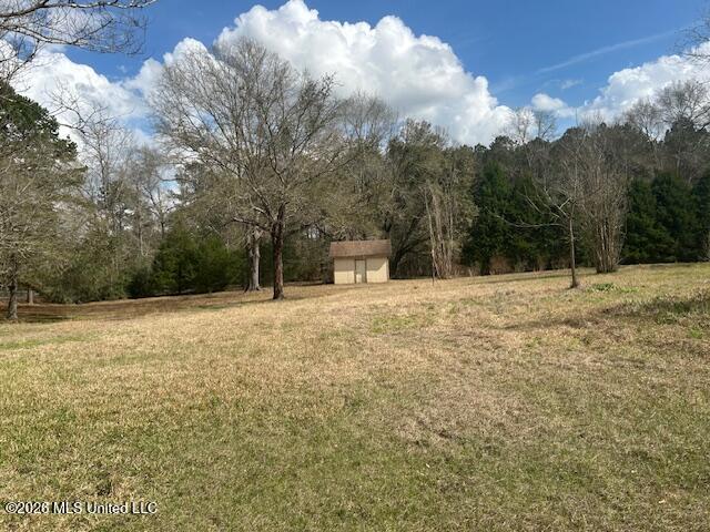 6180 Hamp Lea Road Liberty, MS 39645 - Photo 11 of 40 IMG_3436