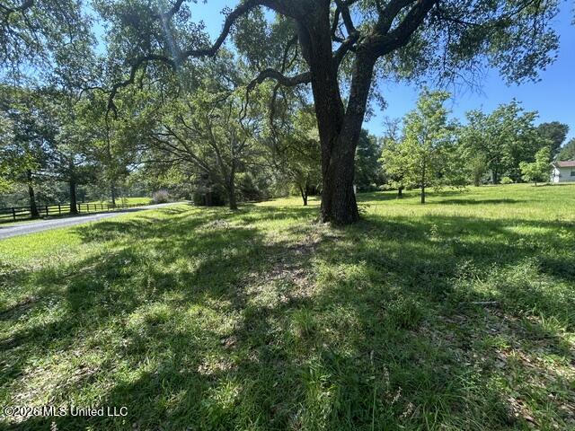 6180 Hamp Lea Road Liberty, MS 39645 - Photo 12 of 57 IMG_5294
