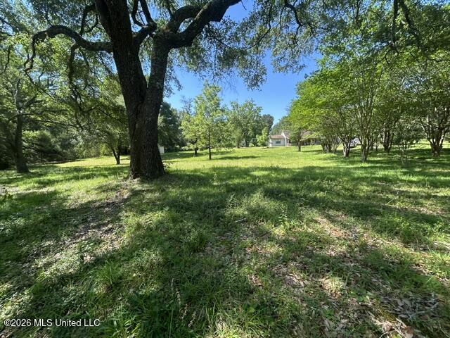 6180 Hamp Lea Road Liberty, MS 39645 - Photo 13 of 57 IMG_5295