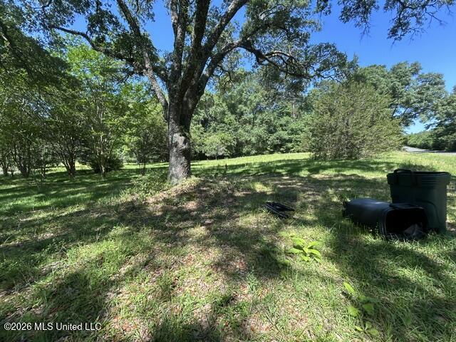 6180 Hamp Lea Road Liberty, MS 39645 - Photo 14 of 57 IMG_5297