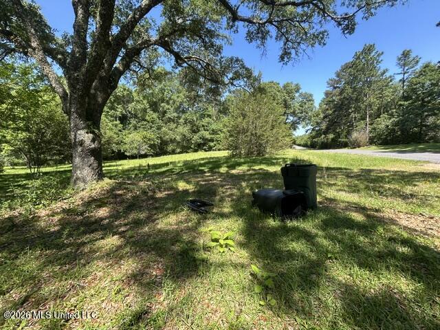 6180 Hamp Lea Road Liberty, MS 39645 - Photo 15 of 57 IMG_5298