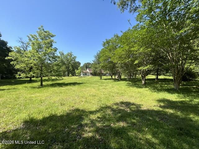 6180 Hamp Lea Road Liberty, MS 39645 - Photo 16 of 57 IMG_5299