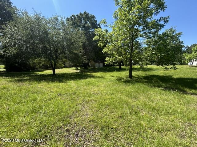 6180 Hamp Lea Road Liberty, MS 39645 - Photo 17 of 57 IMG_5301