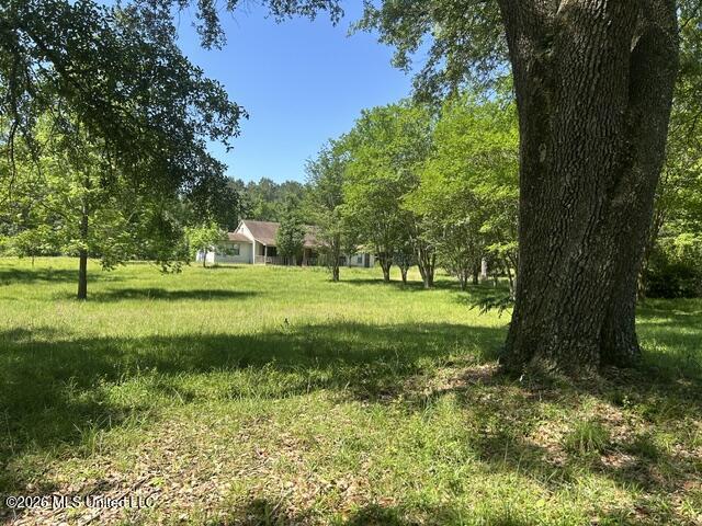 6180 Hamp Lea Road Liberty, MS 39645 - Photo 20 of 57 IMG_5307