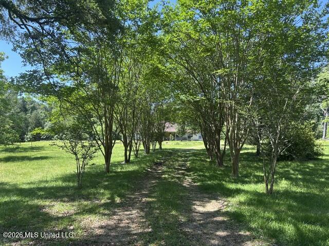 6180 Hamp Lea Road Liberty, MS 39645 - Photo 2 of 57 IMG_5309