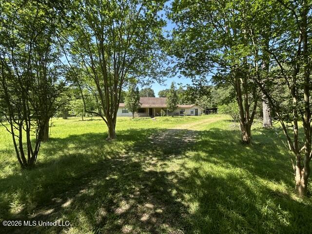 6180 Hamp Lea Road Liberty, MS 39645 - Photo 23 of 57 IMG_5313