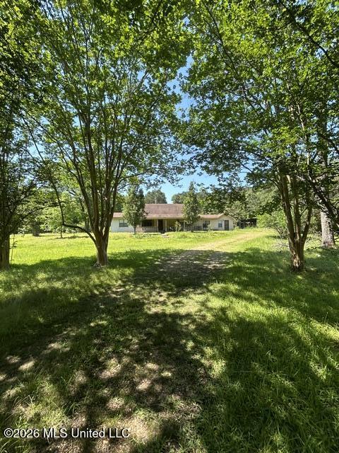 6180 Hamp Lea Road Liberty, MS 39645 - Photo 24 of 57 IMG_5314