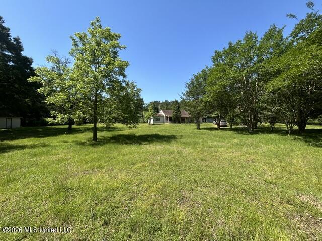 6180 Hamp Lea Road Liberty, MS 39645 - Photo 26 of 57 IMG_5300