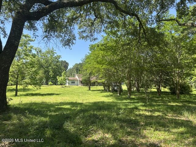 6180 Hamp Lea Road Liberty, MS 39645 - Photo 3 of 57 IMG_5306