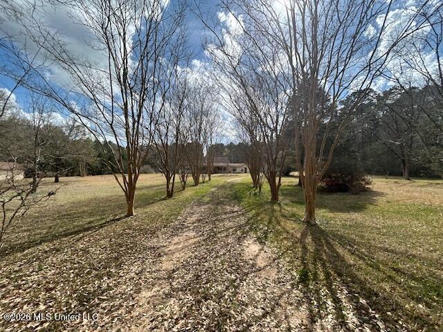 6180 Hamp Lea Road Liberty, MS 39645 - Photo 4 of 40 IMG_3433 (2)