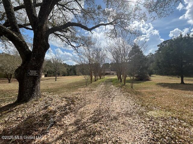 6180 Hamp Lea Road Liberty, MS 39645 - Photo 5 of 40 IMG_3429 (2)