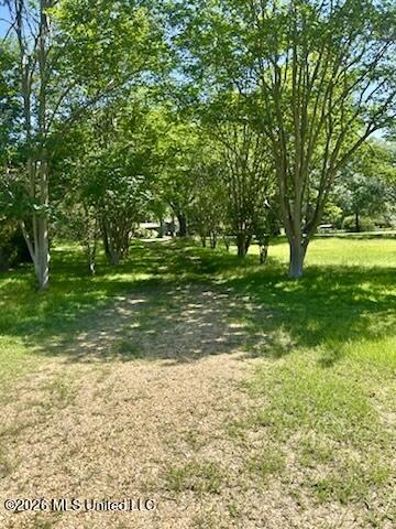6180 Hamp Lea Road Liberty, MS 39645 - Photo 5 of 57 IMG_5285