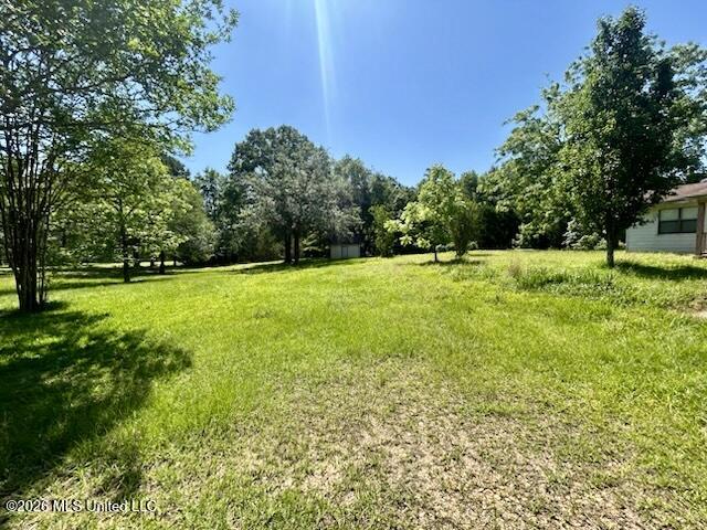 6180 Hamp Lea Road Liberty, MS 39645 - Photo 6 of 57 IMG_5286