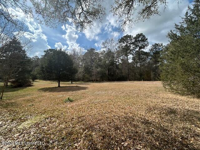 6180 Hamp Lea Road Liberty, MS 39645 - Photo 6 of 40 IMG_3431 (2)