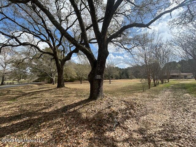6180 Hamp Lea Road Liberty, MS 39645 - Photo 7 of 40 IMG_3430 (2)