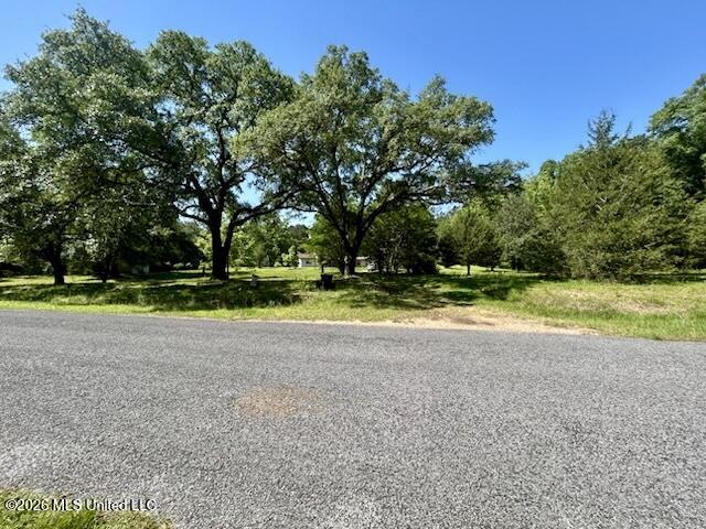 6180 Hamp Lea Road Liberty, MS 39645 - Photo 7 of 57 IMG_5287