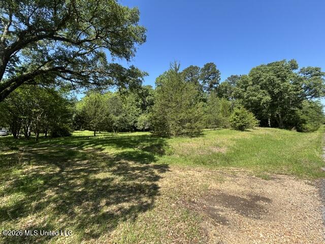 6180 Hamp Lea Road Liberty, MS 39645 - Photo 8 of 57 IMG_5290