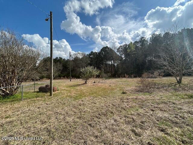 6180 Hamp Lea Road Liberty, MS 39645 - Photo 8 of 40 IMG_3473