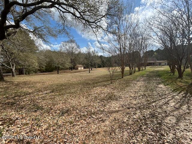 6180 Hamp Lea Road Liberty, MS 39645 - Photo 9 of 40 IMG_3432 (2)