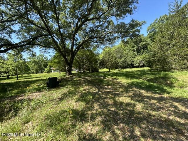 6180 Hamp Lea Road Liberty, MS 39645 - Photo 9 of 57 IMG_5291