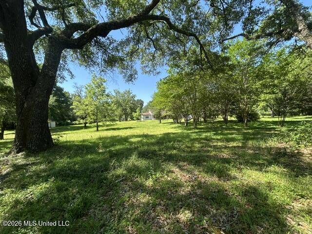 6180 Hamp Lea Road Liberty, MS 39645 - Photo 10 of 57 IMG_5292
