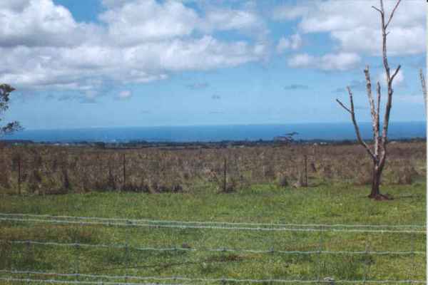 127 North Pszyk Road Mountain View, HI 96771 - Photo 13 of 23 Gallery Image 13