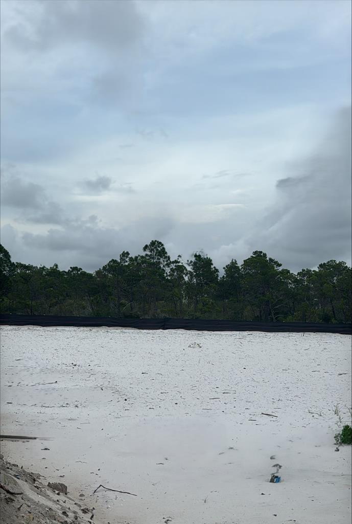 1089 Backwater Road Port St. Joe, FL 32456 - Photo 2 of 51