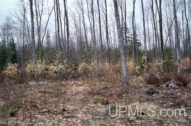 E13901 Cemetery Road Grand Marais, MI 49839 - Photo 25 of 27 Gallery Image 25