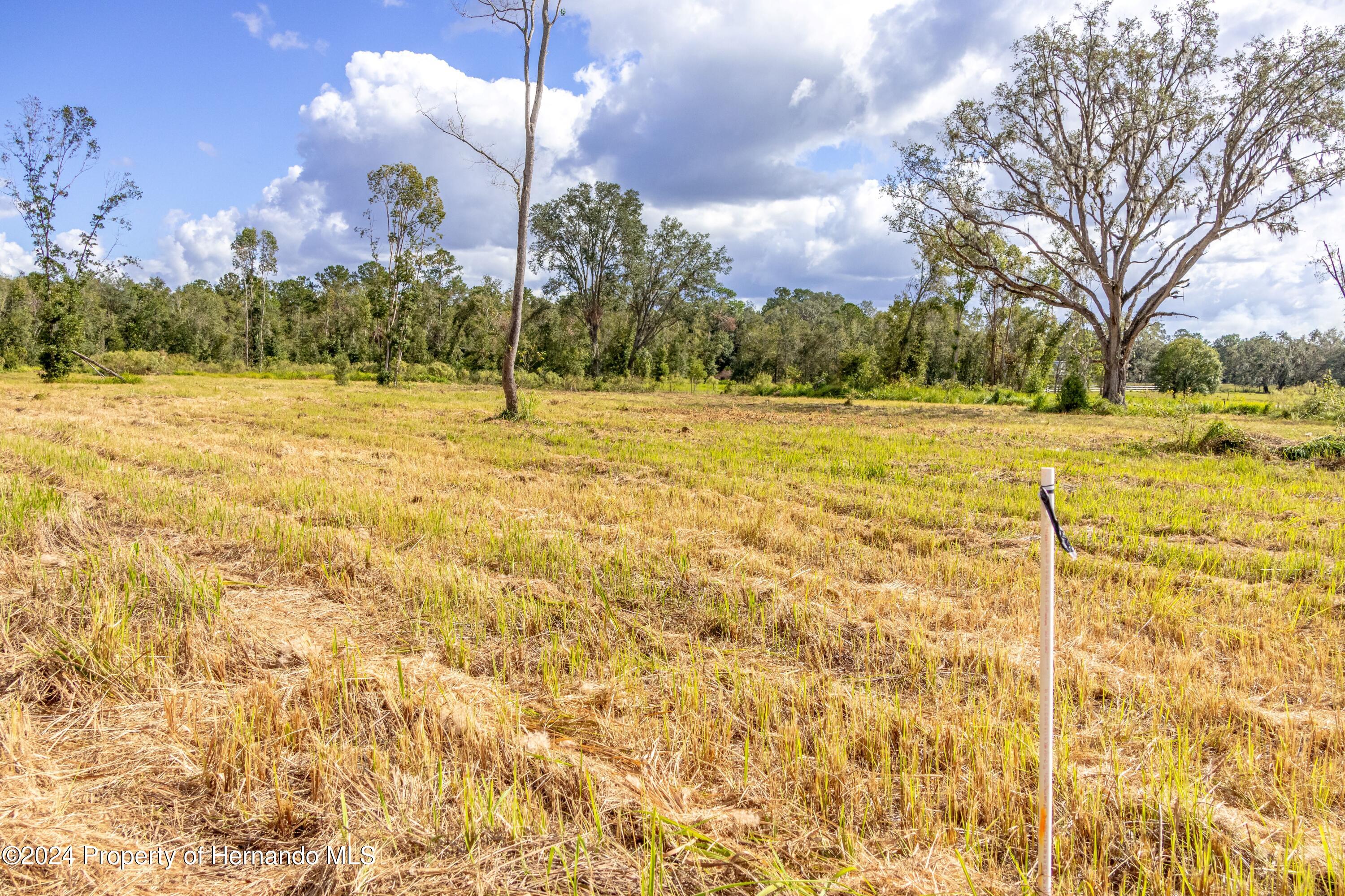0 Saturn Road Brooksville, FL 34604 - Photo 2 of 15 a view of a yard with a house