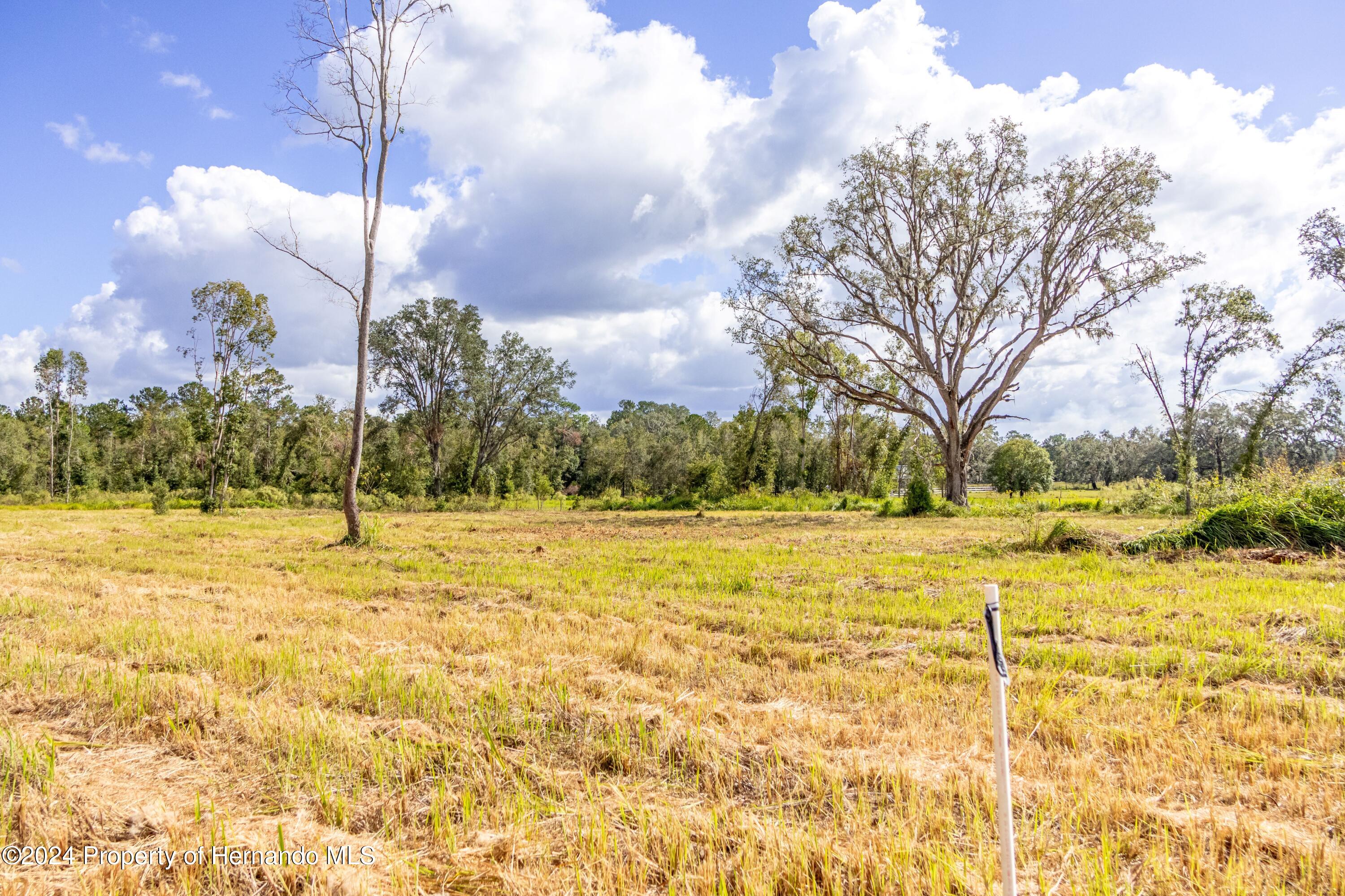 0 Saturn Road Brooksville, FL 34604 - Photo 4 of 15 a view of an swimming pool