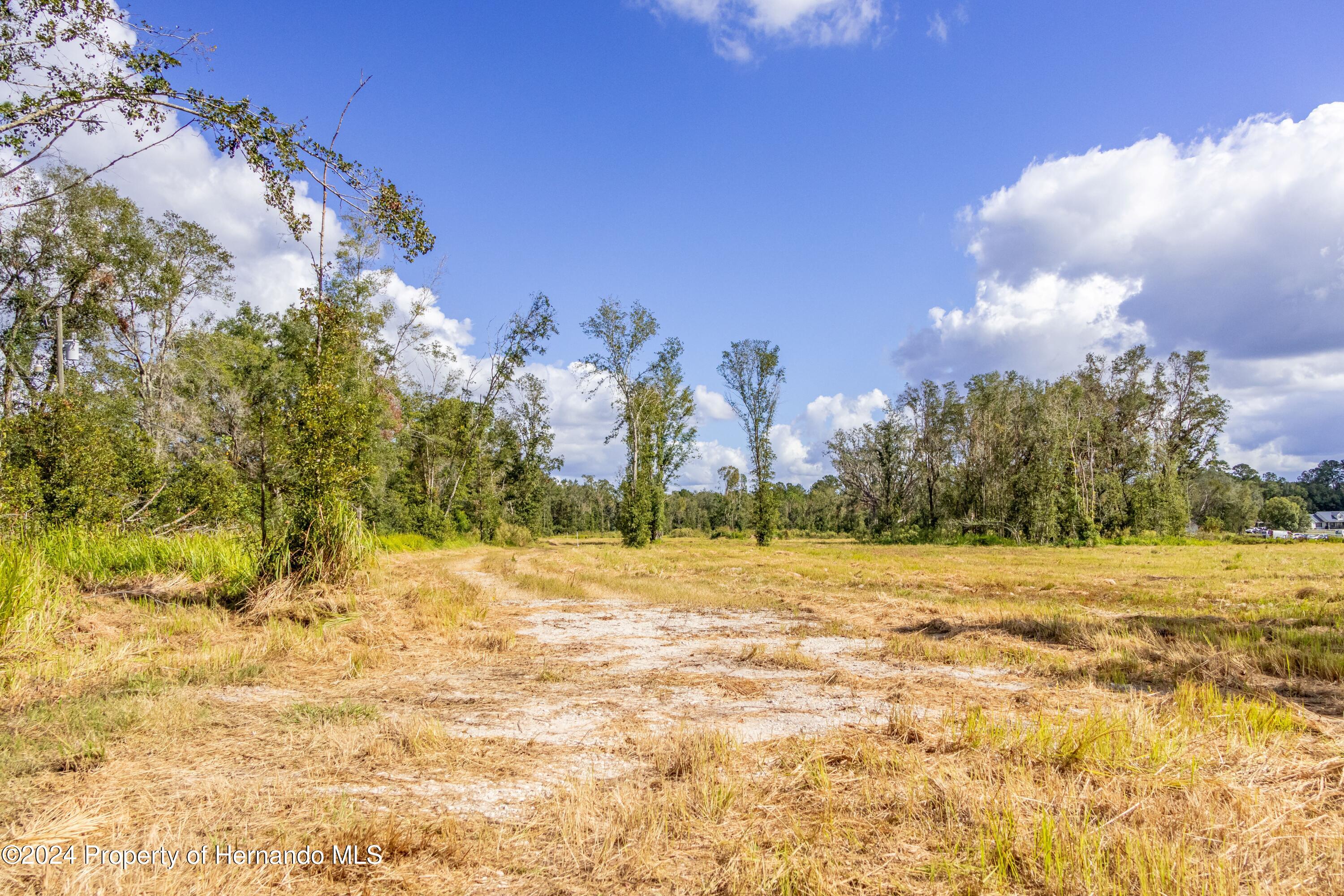 0 Saturn Road Brooksville, FL 34604 - Photo 5 of 15 a view of empty space with mountain