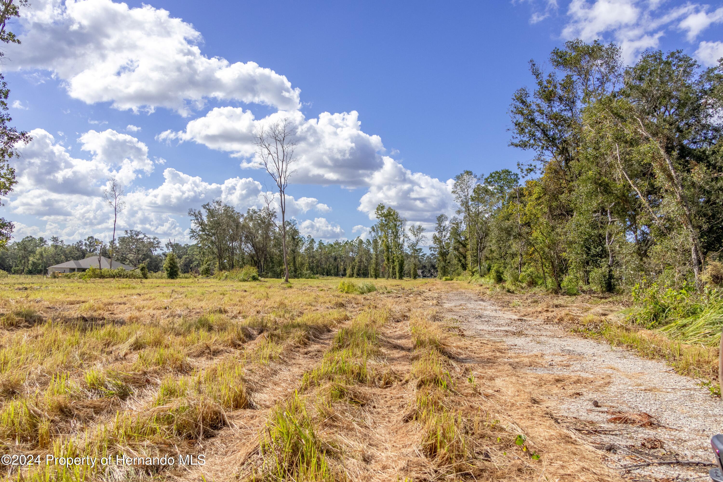 0 Saturn Road Brooksville, FL 34604 - Photo 7 of 15 a view of a dry yard with trees
