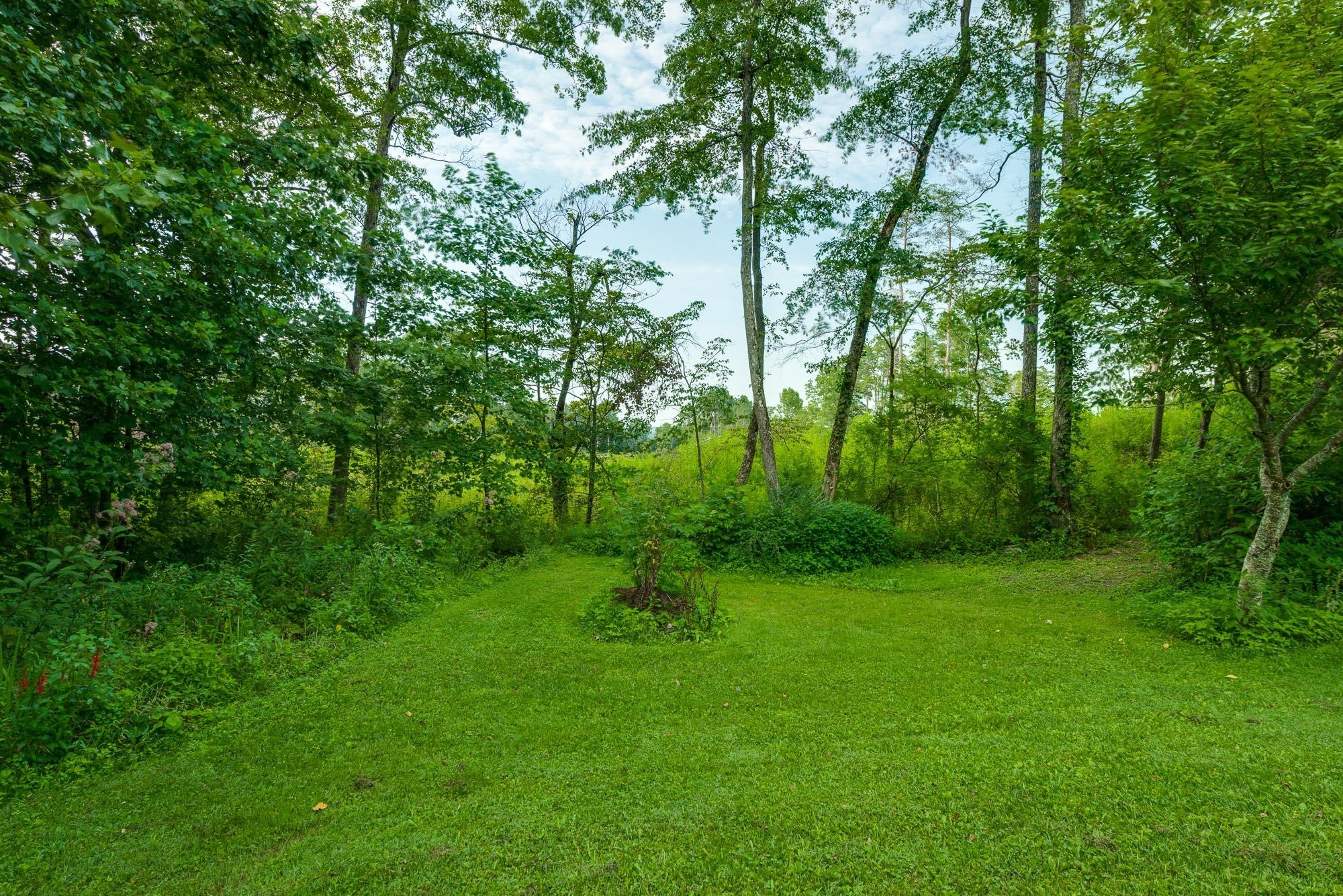 157 Big Spring Gap Road Pikeville, TN 37367 - Photo 6 of 26 Gallery Image 6