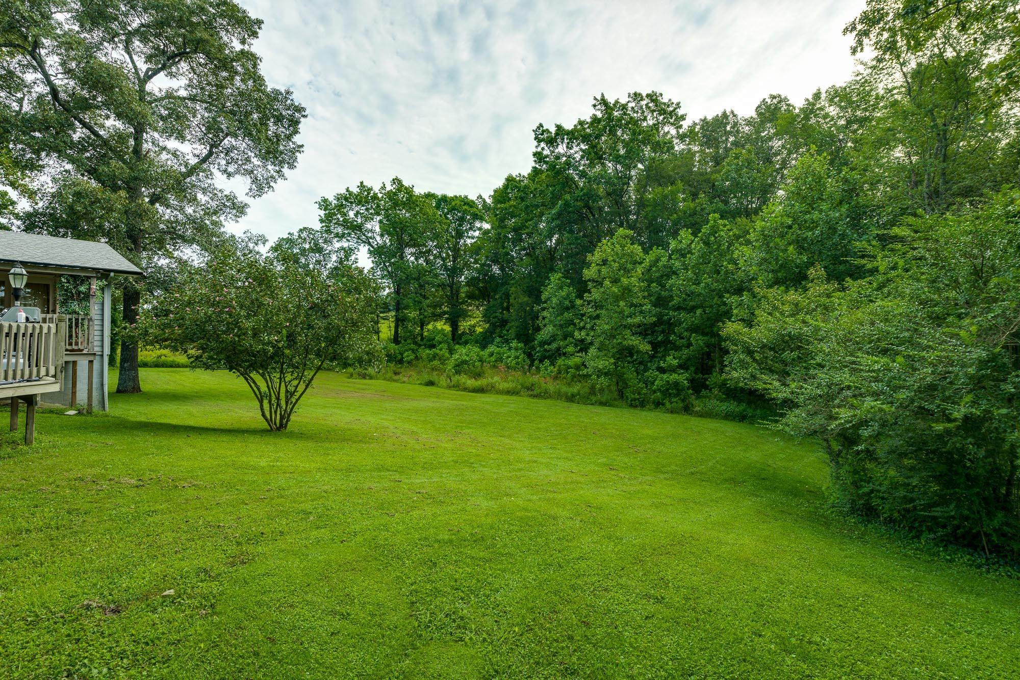 157 Big Spring Gap Road Pikeville, TN 37367 - Photo 8 of 26 Gallery Image 8