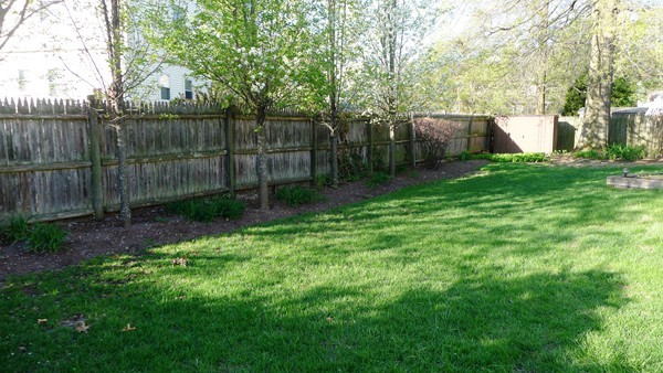 64 Hoitt Road Belmont, MA 02478 - Photo 13 of 15 Gallery Image 13