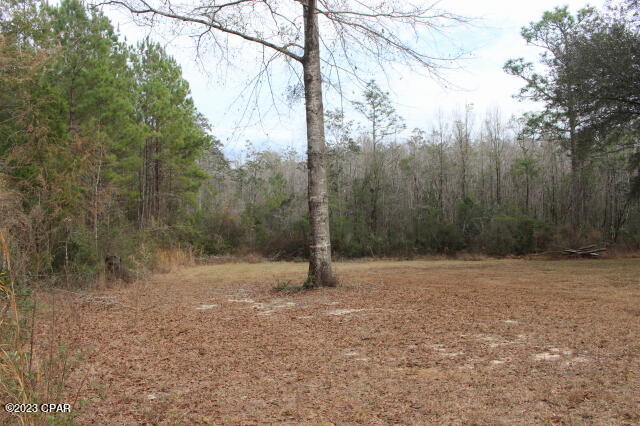 1957 Field Bay Road Caryville, FL 32427 - Photo 14 of 18 Gallery Image 14