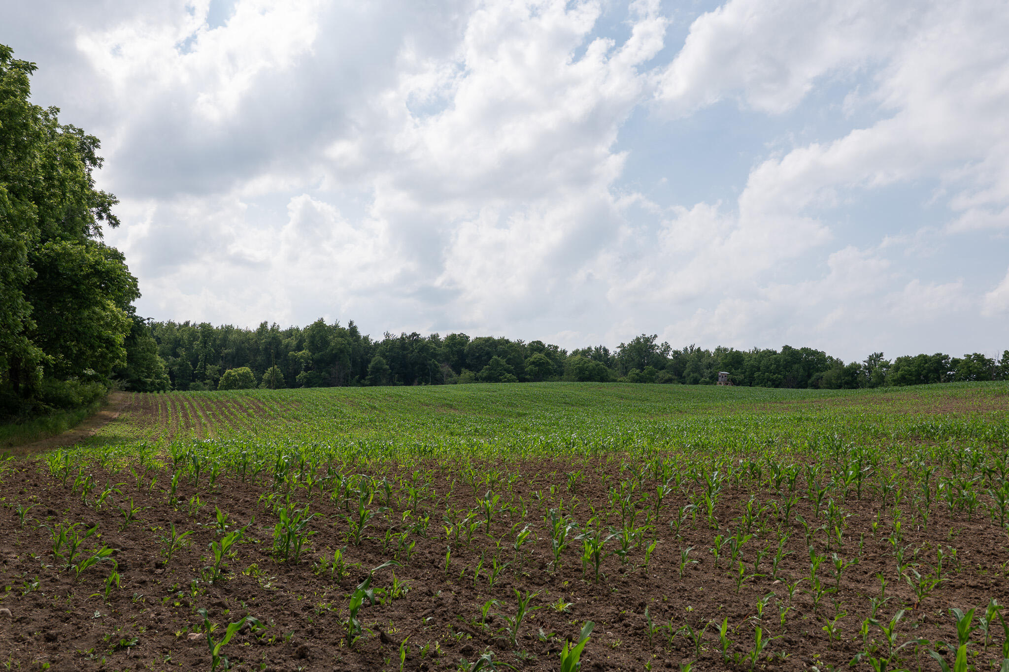 3282 Jerome Road North North Adams, MI 49262 - Photo 30 of 34 P1067874