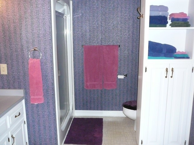917 Windrow Lane Raleigh, NC 27603 - Photo 18 of 25 Shower in Master Bath