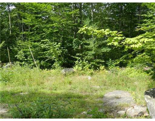 Lot 13 Perry Road/bear Pond Road Hartford, ME 04220 - Photo 3 of 12 Land. Nice location to build a home