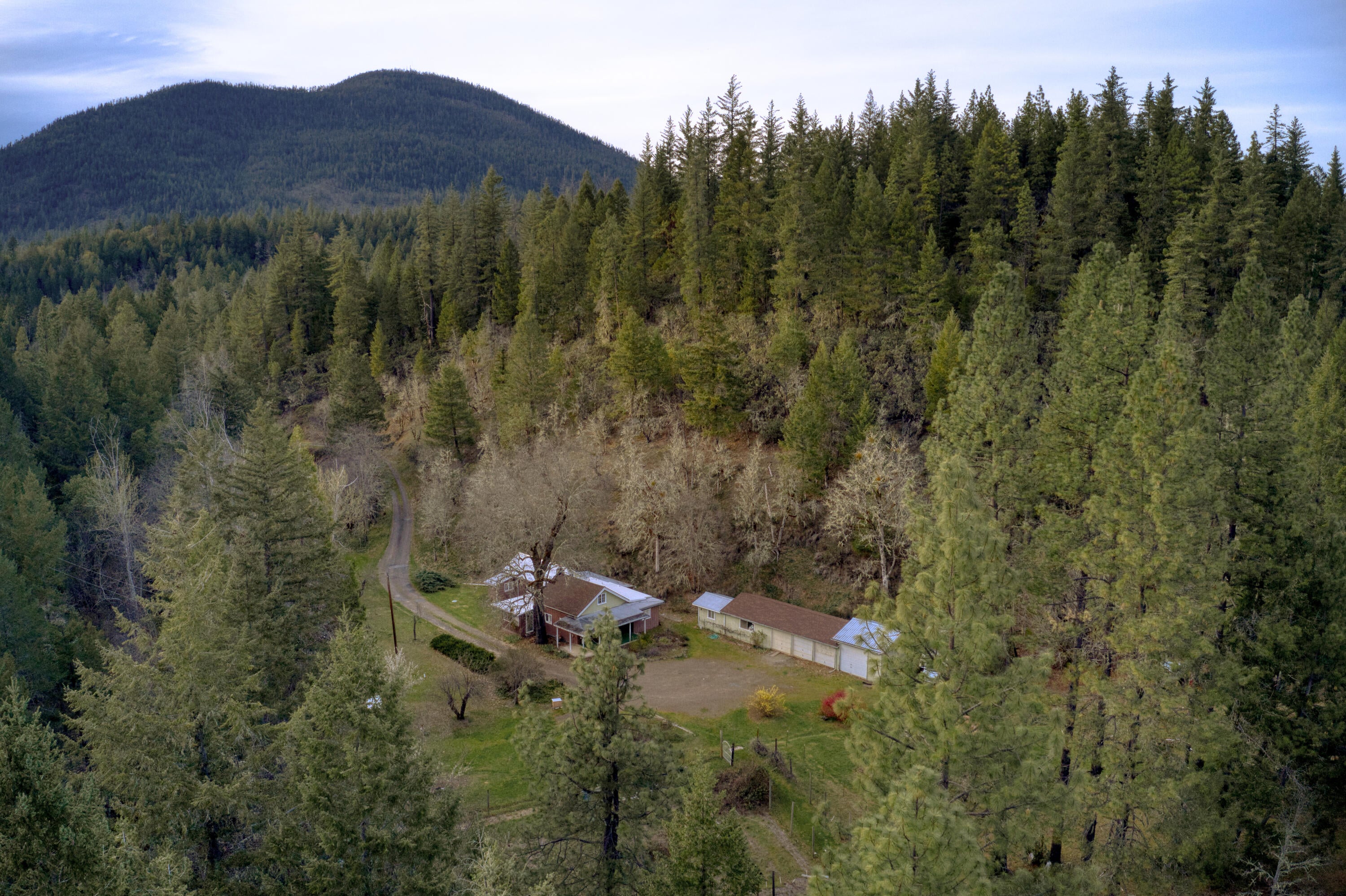 4609 Reeves Creek Road Selma, OR 97538 - Photo 1 of 35 Aerial of Home