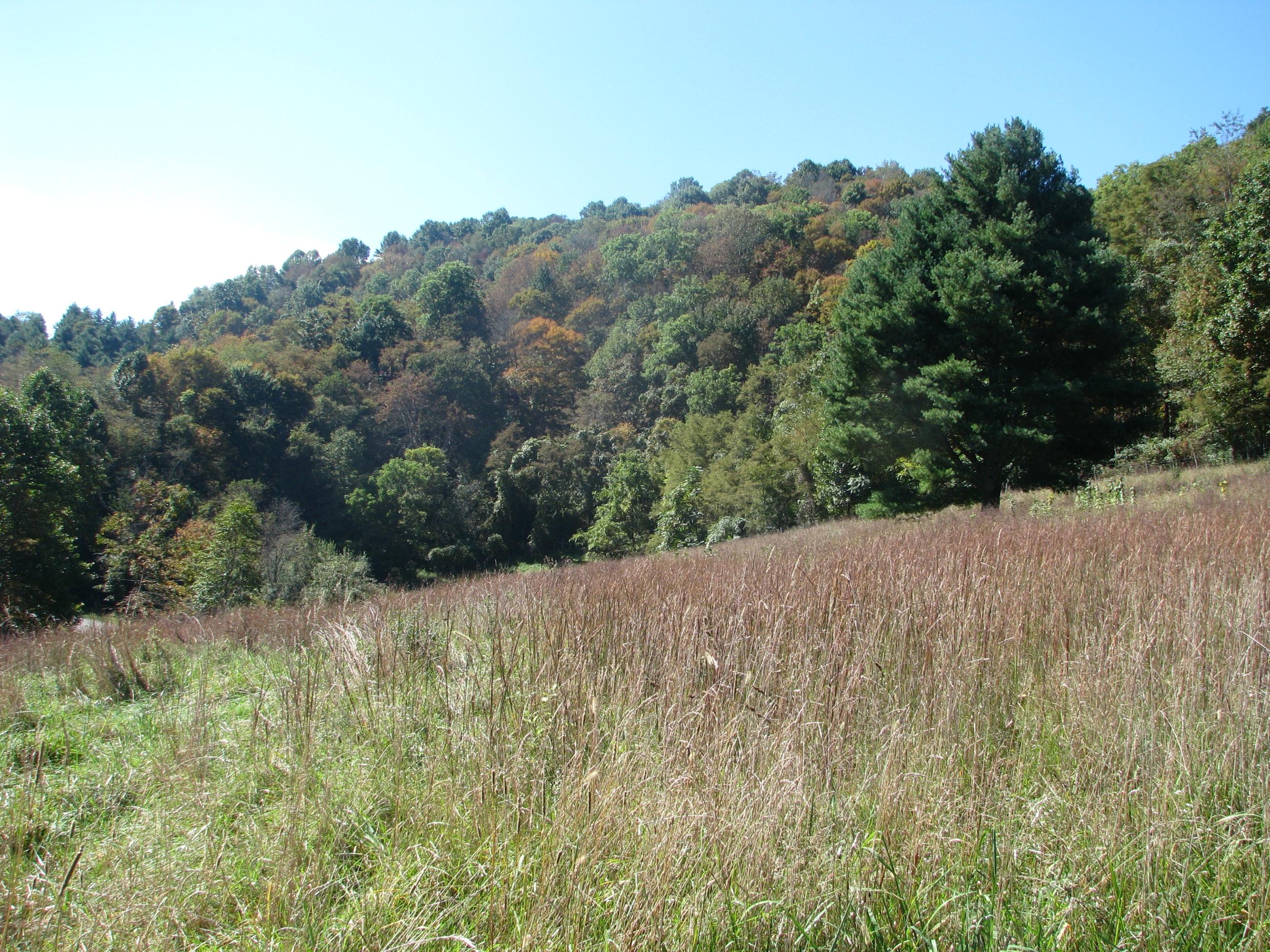 8548 Denmar Road Hillsboro, WV 24946 - Photo 9 of 38 Gallery Image 9