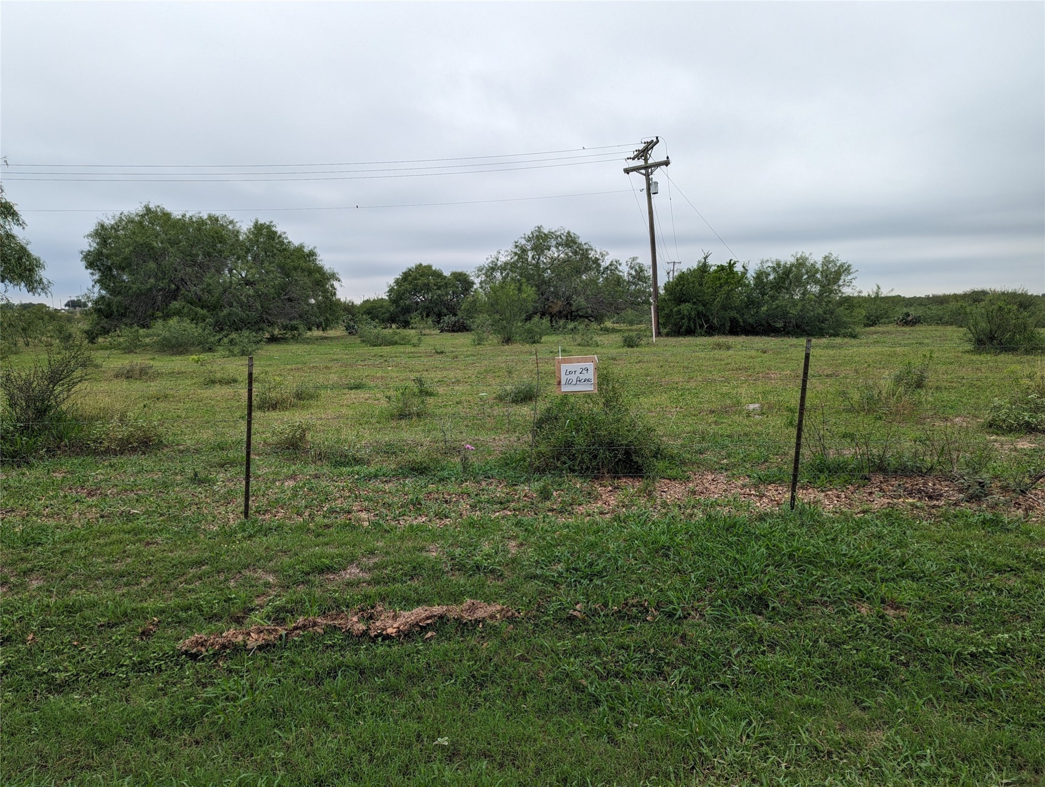 Lot 28 Southwest 10th Street Premont, TX 78375 - Photo 11 of 12 a view of a garden with a big yard