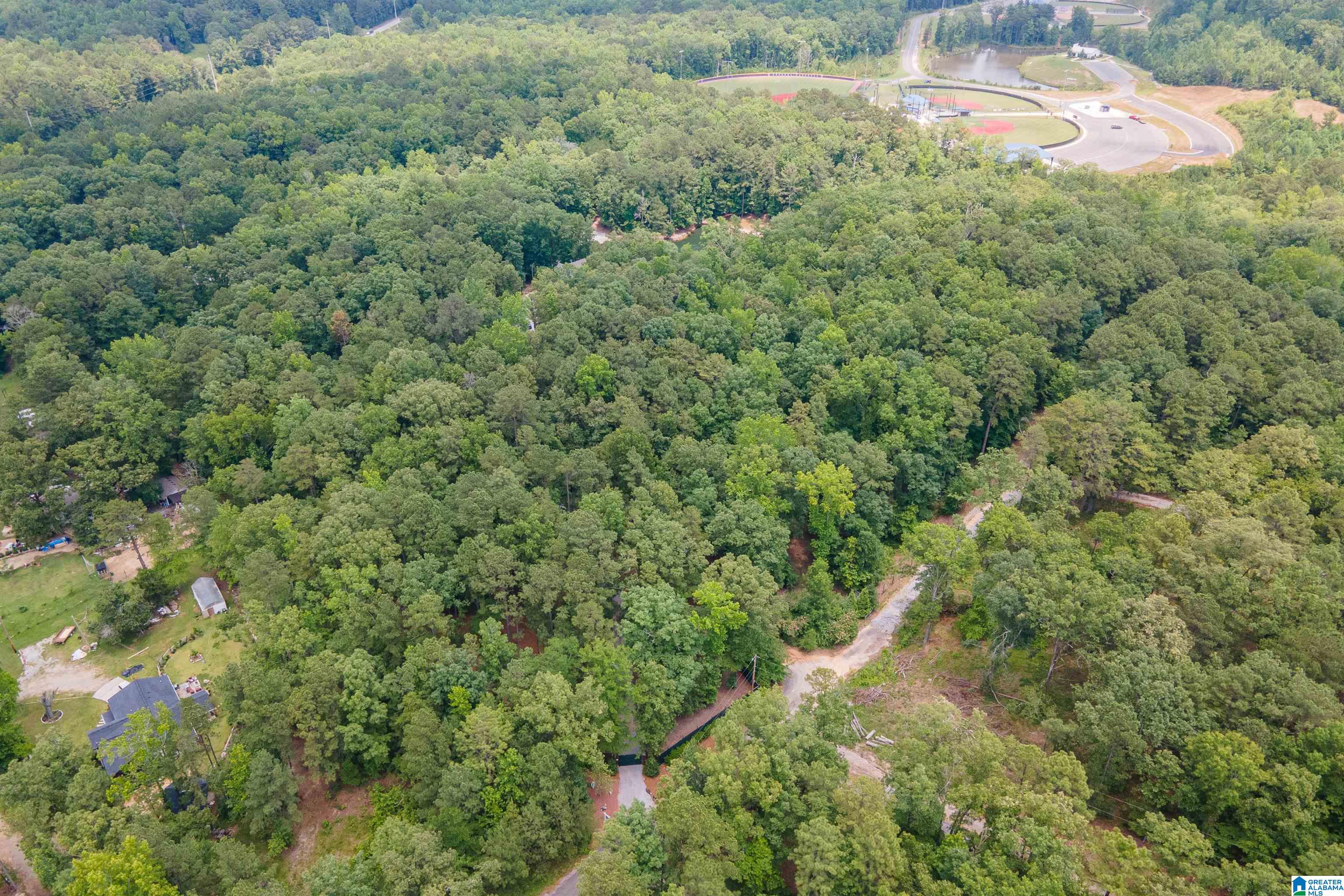 517 Hodgens Road Chelsea, AL 35043 - Photo 71 of 79