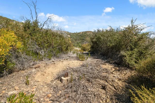 a view of a pathway with a yard