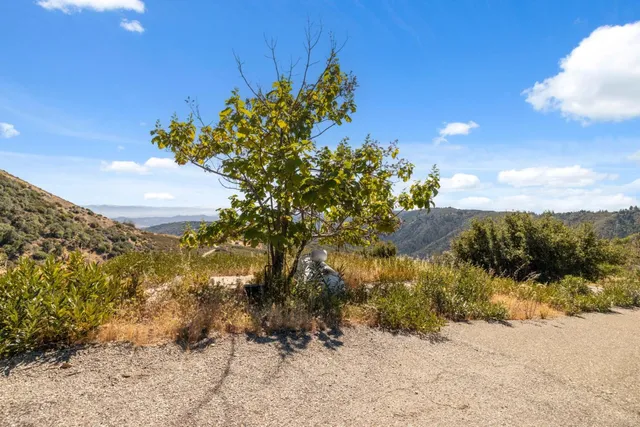 a view of a lake with a yard