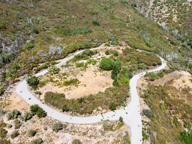 a view of tree covered with snow